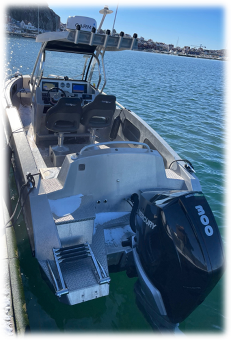 Aluminiumbåt Kaasboll 760 HT med 300 hk Mercury stulen på tysk trailer i Tanumshede, Göteborg. Vid stölden stals även en Traktor MF 390.